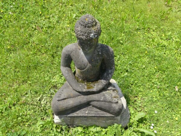Buddhastatue in der Wiese